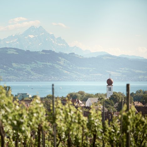 Panorama von Kressbronn a. B.