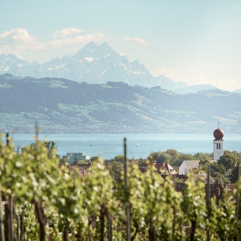 Panorama von Kressbronn a. B.