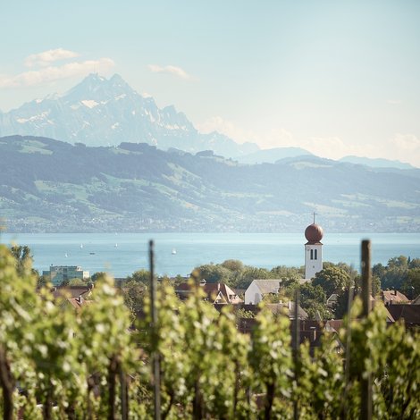 Panorama von Kressbronn a. B.