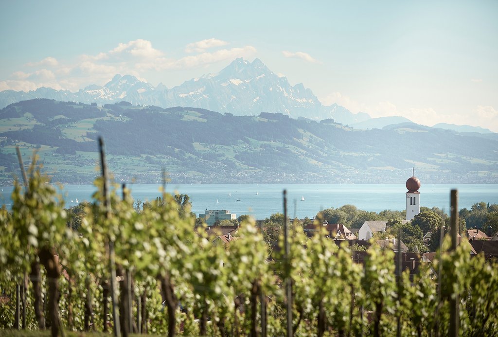 Landschaft Kressbronn am Bodensee